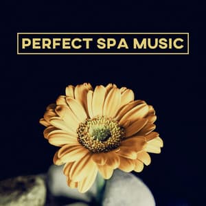 Perfect Spa Music – Relaxation Massage, Nature Spa Music to Relieve Stress, Reduce Anxiety, Relaxing Music, Beautiful Moments - Nature Tribe