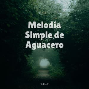 Melodía Simple De Aguacero, Vol. 2 - Trueno etc