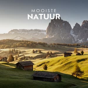 Mooiste Natuur: Rustgevende Natuurgeluiden, Ontspannende Muziek, Drukvermindering - Ontspanning Muziek Club