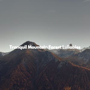 Tranquil Mountain Forest Lullabies - Restaurant Jazz Classics