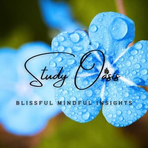 Mindful Study Oasis: Meditative Melodies for Learning - Hello Soundz