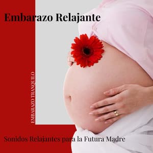 Embarazo Relajante: Sonidos Relajantes para la Futura Madre - Embarazo Tranquilo