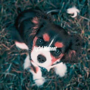 Joyful Moment - Study Time