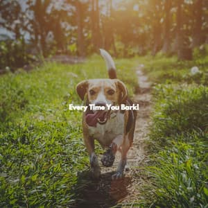 Every Time You Bark! - Jazz Rilassante Retro