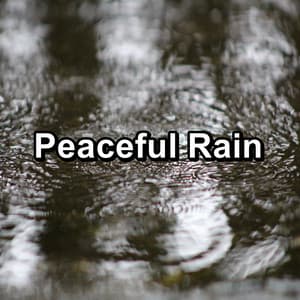 Peaceful Rain - Relaxing Sounds Of Nature