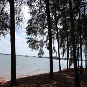 Background Cancelling Ambiences for Study, Meditation, and Relaxation - Studying Music