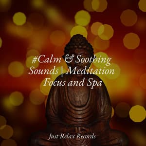 #Calm & Soothing Sounds | Meditation Focus and Spa - Chinese Relaxation and Meditation