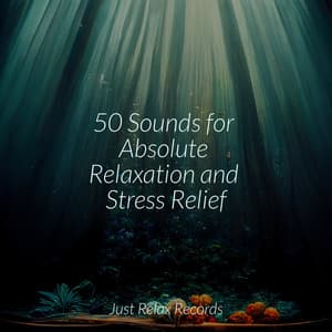 50 Sounds for Absolute Relaxation and Stress Relief - Study Hard