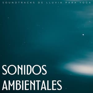 Sonidos Ambientales: Sinfonías De Lluvia Para Spa Eufórico - Música ambiental relajante