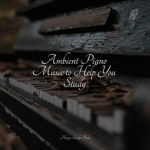 50 Peaceful Piano Tracks to Soothe the Soul - Piano Relax