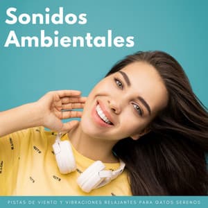 Sonidos Ambientales: Pistas De Viento Y Vibraciones Relajantes Para Gatos Serenos - Descansar Musica