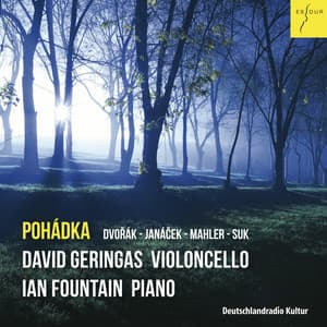 Pohádka - David Geringas