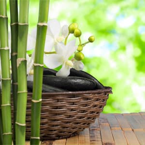 Mental Health and Wellness: Peaceful Meditation Songs, Inner Peace, Reduce Anxiety, Zen Music, Mind Body Connection - Brain Waves Rec