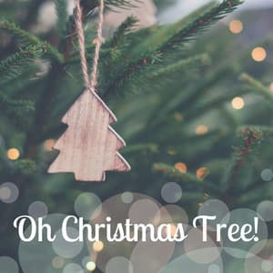 Oh Christmas Tree! - 20 Xmas Classics for Gathering Around the Fire, Family Storytelling - Christmas Eve