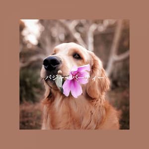 パジャマパーティー - Happy Jazz