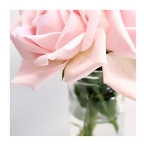 Smooth Piano Music Therapy - Calming Piano Music