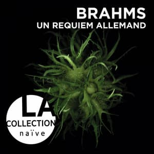 Brahms: Un requiem allemand, Op. 45 - Johannes Brahms