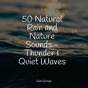 50 Natural Rain and Nature Sounds - Thunder & Quiet Waves - Deep Horizon Waves