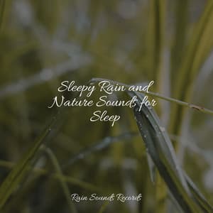 Sleepy Rain and Nature Sounds for Sleep - Guided Meditation
