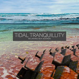 Tidal Tranquillity - Relaxing Sea Sounds
