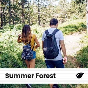 Summer Forest - Rain Sounds Nature Collection