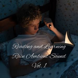 Reading and Learning Rain Ambient Sound Vol. 1 - Music For Studying and Concentration