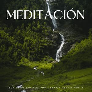Meditación: Sonido De Río Para Una Terapia Mental Vol. 1 - ASMR total
