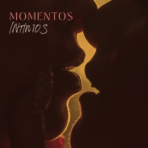 Momentos Íntimos – Coleção de Música Tântrica Sensual da New Age - Tantric Music Masters