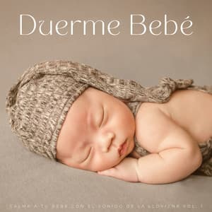 Duerme Bebé: Calma A Tu Bebé Con El Sonido De La Llovizna Vol. 1 - Lluvia Relajante para Dormir