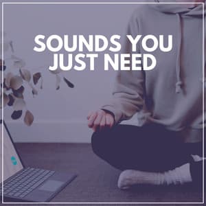 Sounds You Just Need - Five Senses Meditation Sanctuary