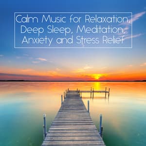 Calm Music for Relaxation, Deep Sleep, Meditation, Anxiety and Stress Relief - Relaxation - Ambient
