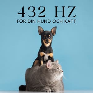 432 Hz för din hund och katt - Hundmusik oas