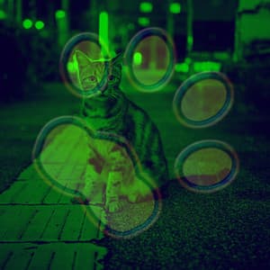 Echoes of Cat Lounging - Relaxing Music for Cats