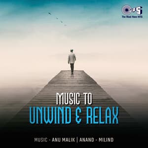 Music To Unwind & Relax - Anand-Milind