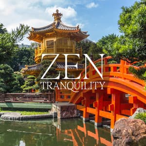 Zen Tranquility - Chinese Yang Qin Relaxation Man