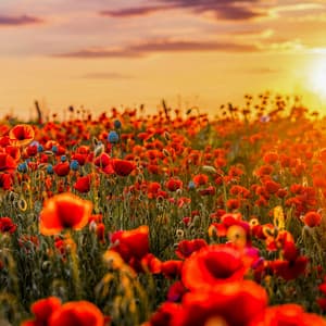 0 Limit Horizon: Infinite Possibility - Yoga Music