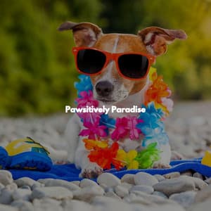 Pawsitively Paradise - Spanish Guitar Playlist