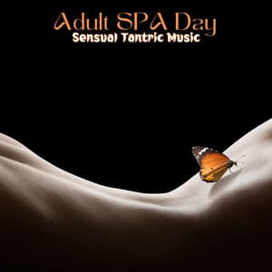 Adult SPA Day: Sensual Tantric Music, for Erotic Massage & Relax - Massage Spa Academy