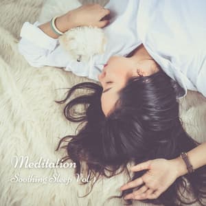 Meditation: Soothing Sleep Vol. 1 - Sleep Music