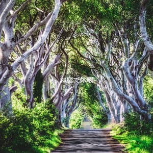 お庭で休暇 - Coffee Shop Piano Jazz Playlist