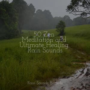 50 Zen Meditation and Ultimate Healing Rain Sounds - Relaxed Minds