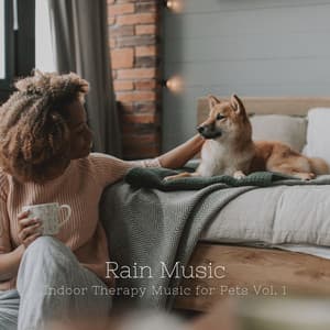 Rain Music: Indoor Therapy Music for Pets Vol. 1 - Sleepy Dogs