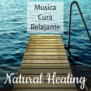 Natural Healing - Musica Yoga Cura Relajante para Desarrollo de la Mente Reducir la Ansiedad - Templo de la Luna