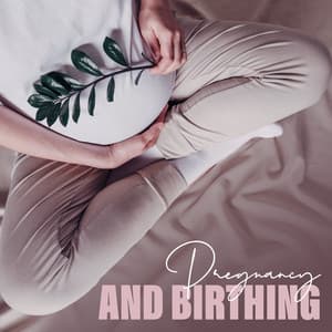 Pregnancy and Birthing: Music to Help Ease Pregnancy Nerves - Pregnancy Relaxation Orchestra