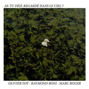 As-Tu déjà regardé dans le ciel ? - Olivier Foy