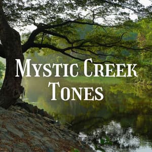 Mystic Creek Tones - Nature Recordings