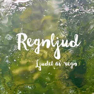 Ljudet av regn - Regnljud