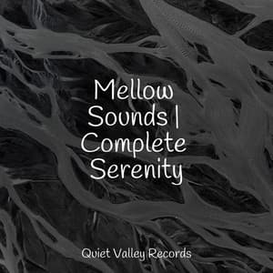 Mellow Sounds | Complete Serenity - FX & Effects