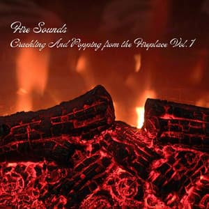 Fire Sounds: Crackling And Popping from the Fireplace Vol. 1 - Dog Music