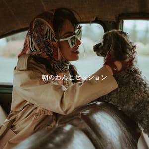 朝のわんこセッション - Reading Background Music
